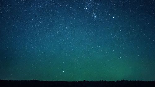 释放欲望，容易跟人暧昧的生肖有哪些