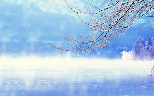 释放欲望，容易跟人暧昧的生肖有哪些