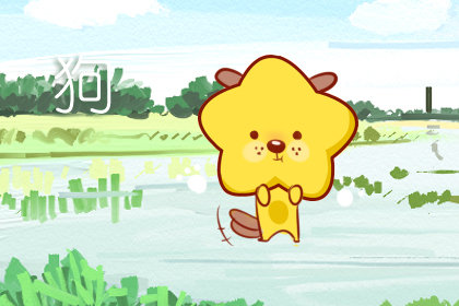 属相婚配：1982年属狗的最佳配偶