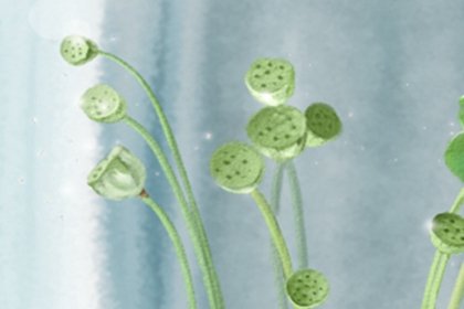 双11！看看十二生肖女谁是大出血的主