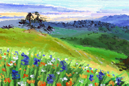 2017年十二生肖几月出生最好