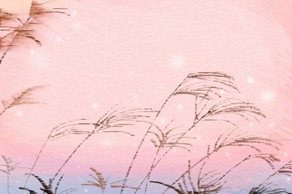 追这些生肖女就得死缠烂打