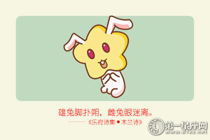 2019运势最好的属相
