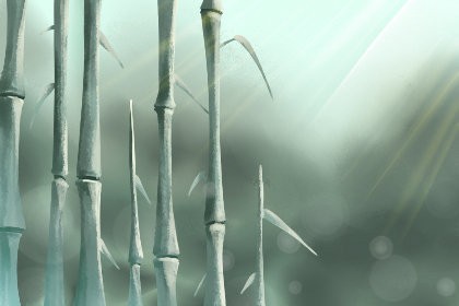 老司机，备胎总是备着的生肖女