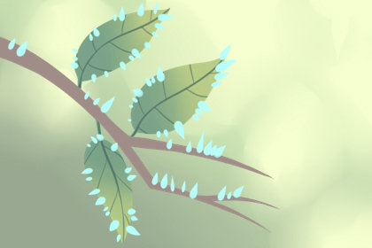 十二生肖女自拍的时候，都会找什么做背景墙