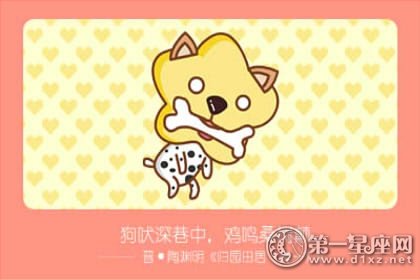 哪些生肖女婚后气质越来越好