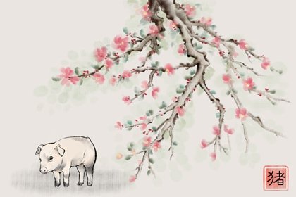 属狗男和属猪女婚配是否合适 是几等婚姻
