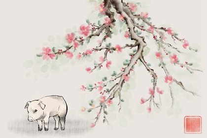 95年出生的27岁属猪人注定有二婚吗?和谁最般配