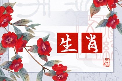 2022年下半年有第三者的生肖 鼠羊龙要当心