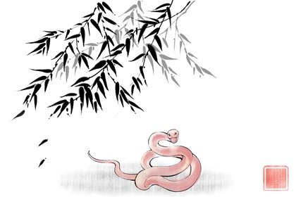 属相婚配 属蛇女与属蛇男婚姻合适吗