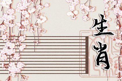 不在乎天长地久，只在乎曾经拥有的生肖