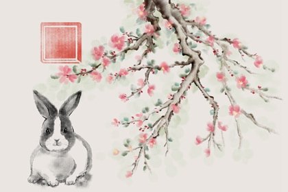 2023年属兔人和属兔的结婚好吗 改变命运的好时机