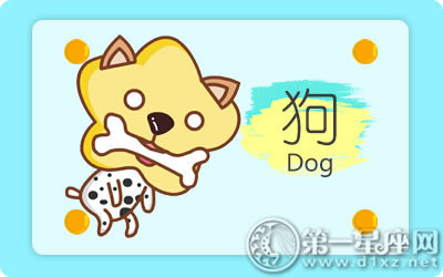 爸爸属马妈妈属鸡 孩子属什么好