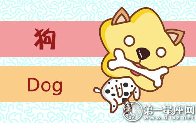 为了偶像和朋友决裂的生肖