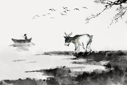 属虎男的和什么属相最配最合适&nbsp;生肖羊最忌讳的两个生肖